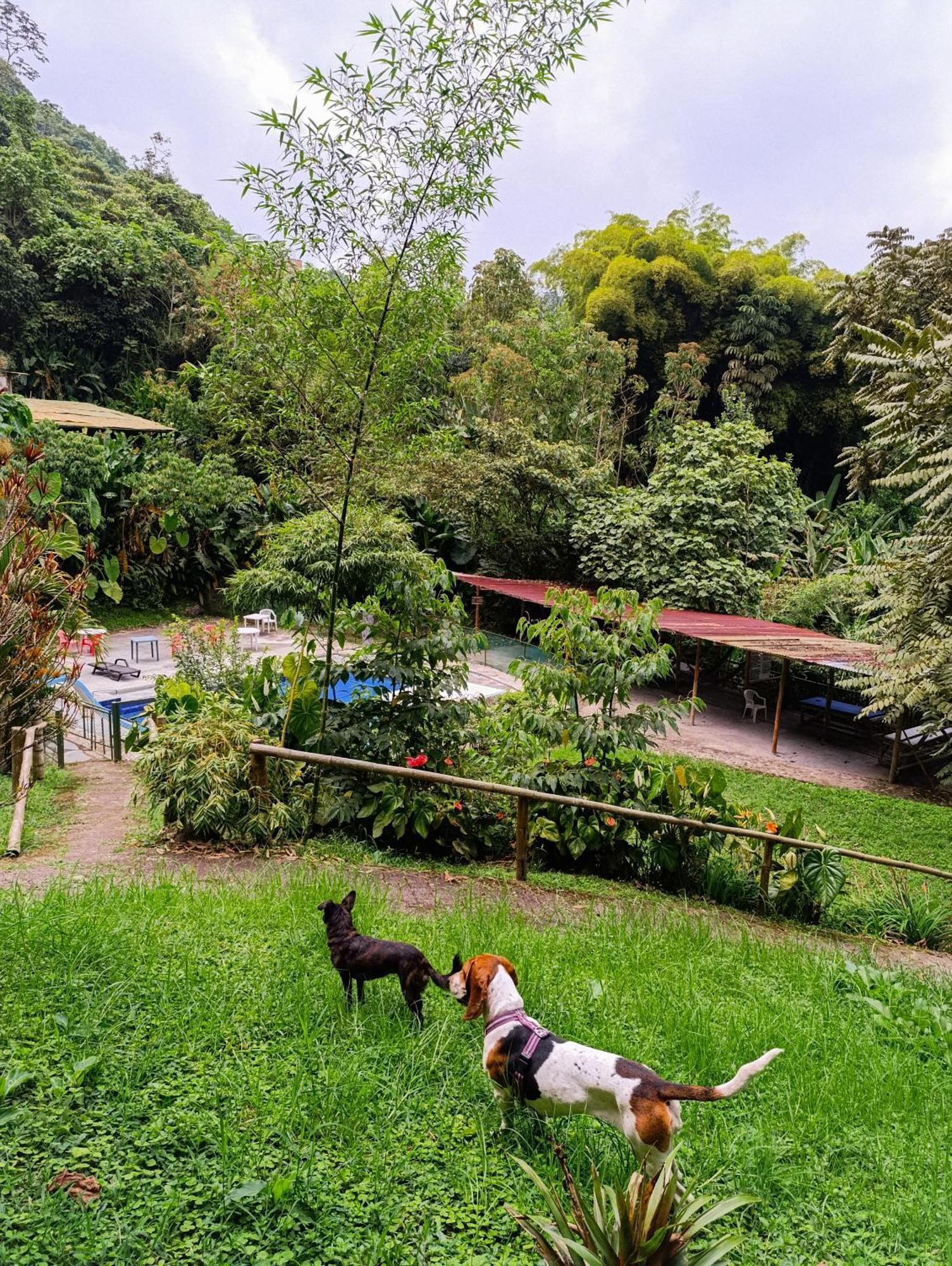 Eco Lodge La Juanita La Linda Buitenkant foto